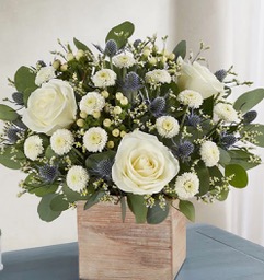 A celebratory arrangement of greens, multi-textured white flowers and blue thistle